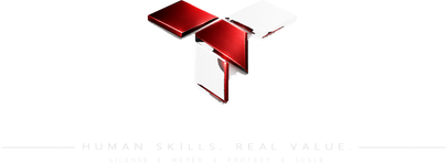 Tacit Tessera — human skills, real value